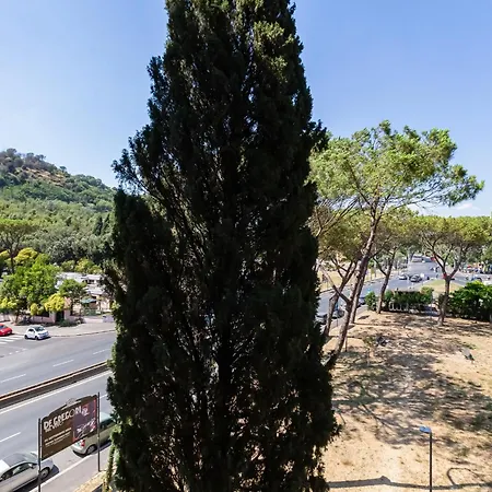 Bdc - The Olympic One! Rome